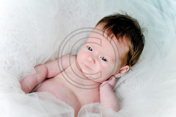 Hailey_Maeger_7wks-132.jpg