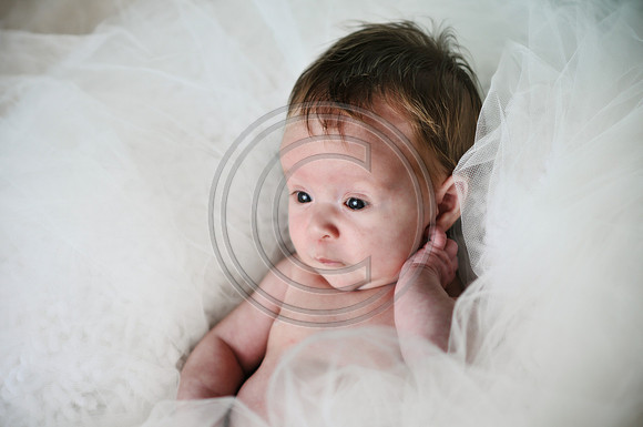 Hailey_Maeger_7wks-136.jpg