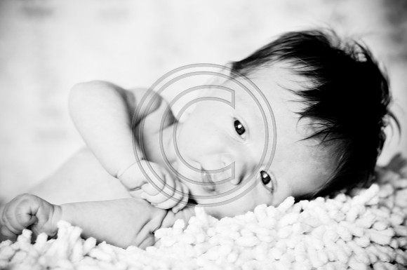 Hailey_Maeger_7wks-143.jpg