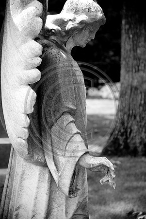 bw-1099.jpg