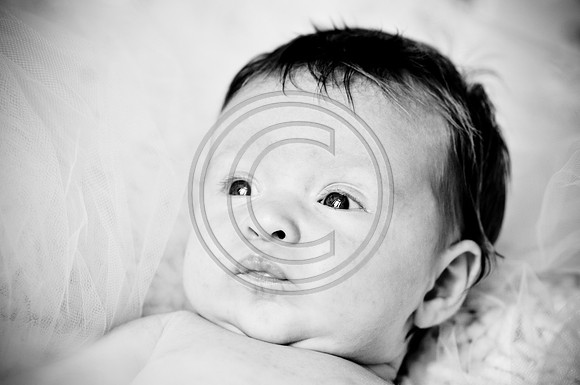 Hailey_Maeger_7wks-141.jpg