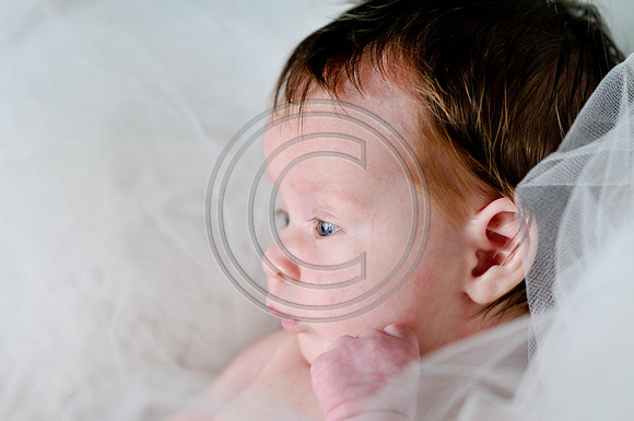 Hailey_Maeger_7wks-138.jpg