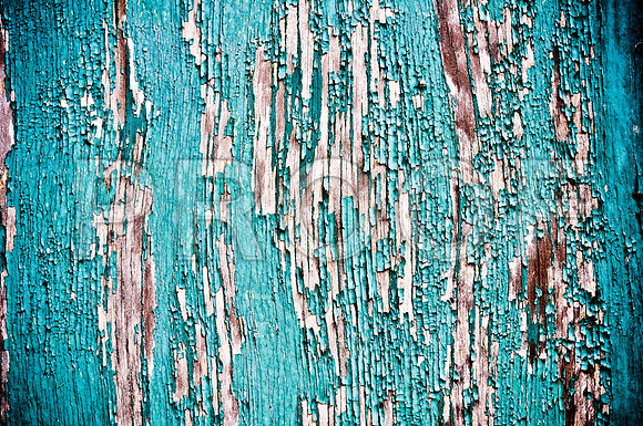 2009SUMMER_TEXTURES_GALVESTON-1049.jpg