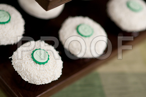 Stephanie-Peter-Wedding-1104