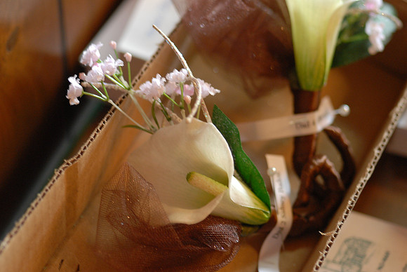 Marci-Joey-Wedding-1054.jpg