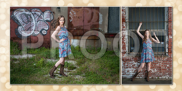 Jessi_Cook_10x10 006 (Sides 11-12)