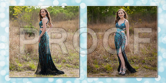 Jessi_Cook_10x10 015 (Sides 29-30)