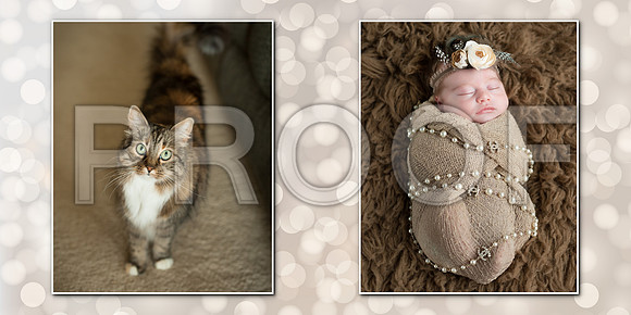 nb15_sterling_benett_album 009 (Sides 17-18)