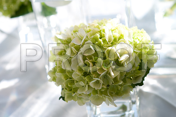 Stephanie-Peter-Wedding-1091