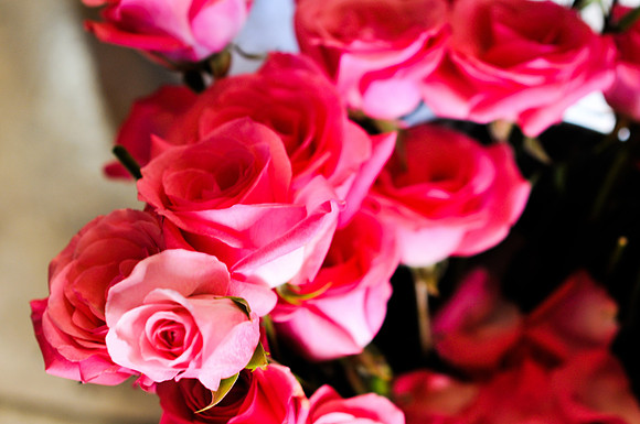 Sandra_Yojeny_Wedding-189.jpg