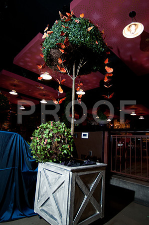 elizabeth_nelson_wed-160