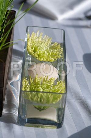 Stephanie-Peter-Wedding-1092