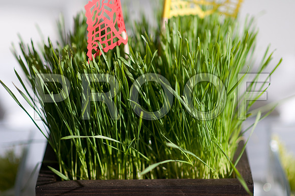 Stephanie-Peter-Wedding-1101