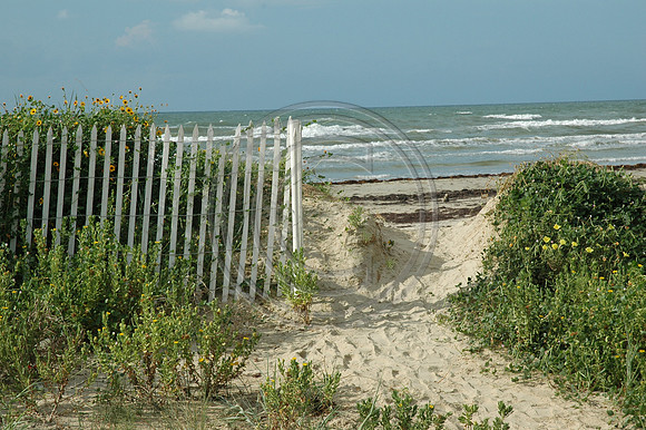 DSC_0180.JPG
