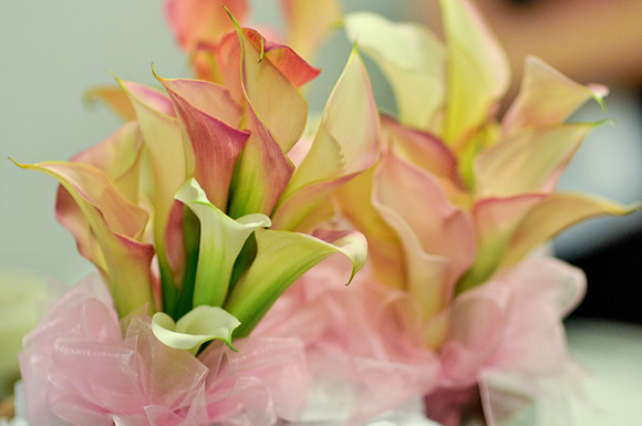 Marci-Joey-Wedding-1090.jpg