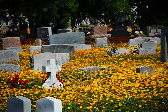 color_-1199.jpg