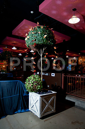 elizabeth_nelson_wed-159