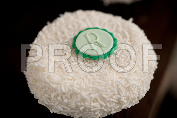 Stephanie-Peter-Wedding-1106