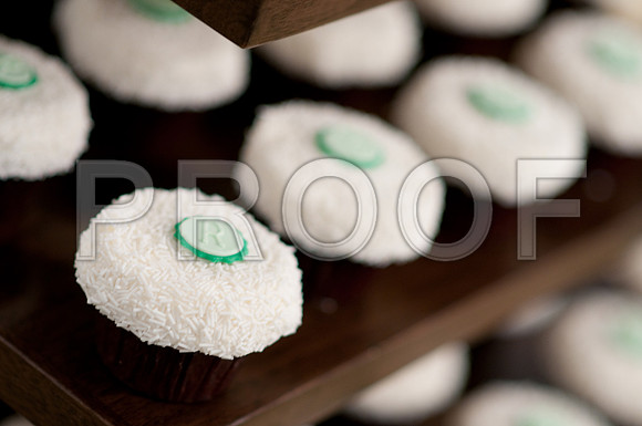 Stephanie-Peter-Wedding-1103