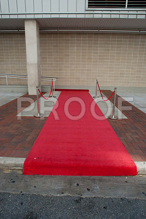 elizabeth_nelson_wed-116