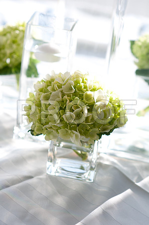 Stephanie-Peter-Wedding-1090