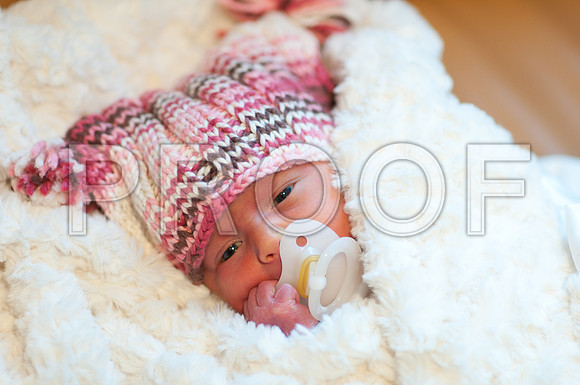 wuw-ofc-9050