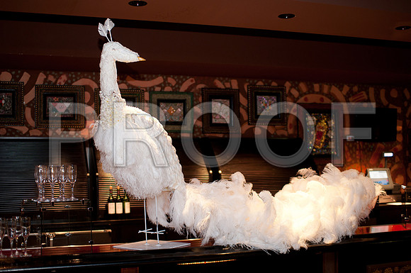 elizabeth_nelson_wed-110