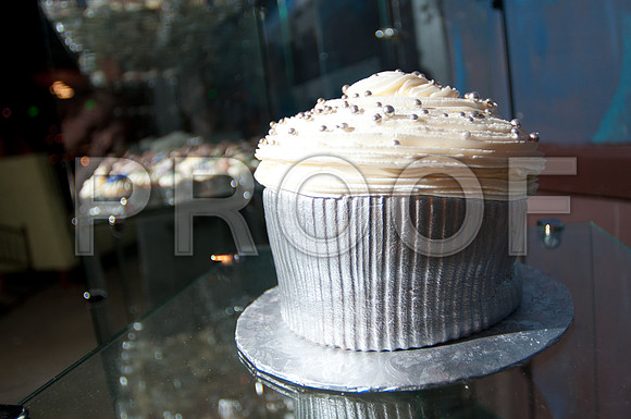elizabeth_nelson_wed-164
