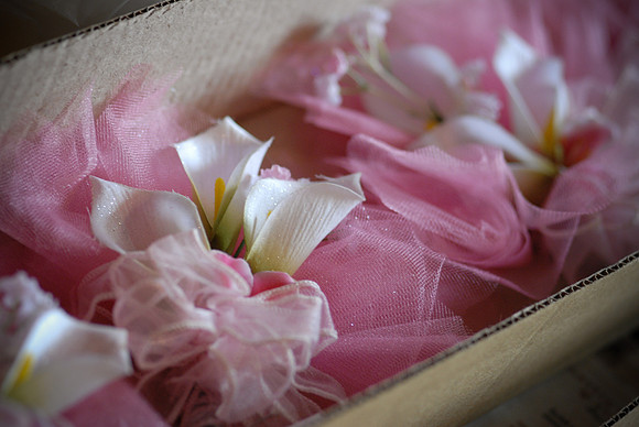 Marci-Joey-Wedding-1055.jpg