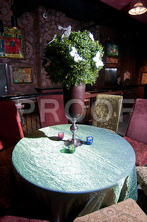 elizabeth_nelson_wed-157
