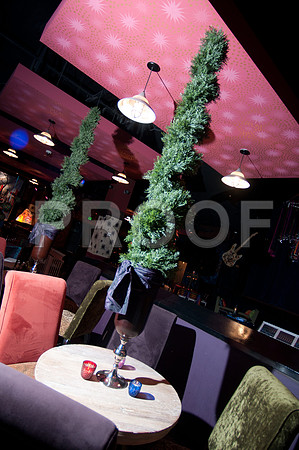 elizabeth_nelson_wed-158