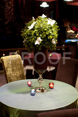 elizabeth_nelson_wed-151