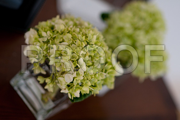 Stephanie-Peter-Wedding-1098