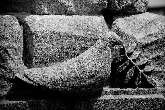 bw-1097.jpg