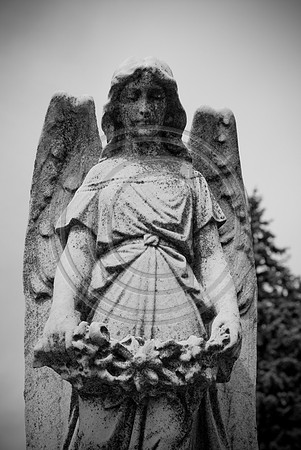bw-1095.jpg