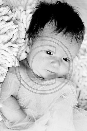 Hailey_Maeger_7wks-108.jpg