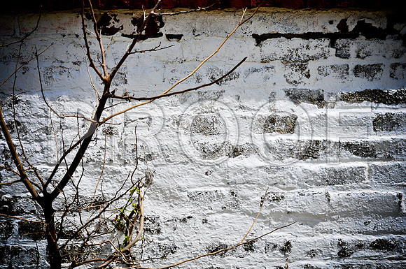 2009SUMMER_TEXTURES_GALVESTON-1070.jpg