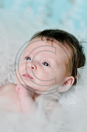 Hailey_Maeger_7wks-121.jpg