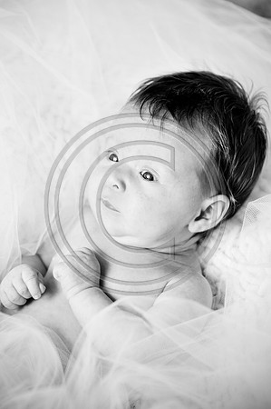 Hailey_Maeger_7wks-119.jpg