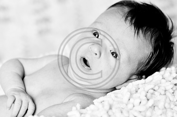 Hailey_Maeger_7wks-149.jpg