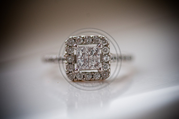 hollylasneskebridals-152