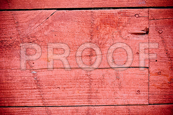 2009SUMMER_TEXTURES_GALVESTON-1043.jpg
