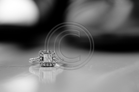 hollylasneskebridals-150