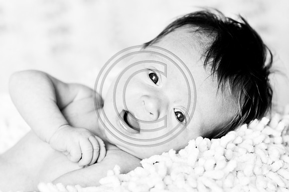 Hailey_Maeger_7wks-148.jpg