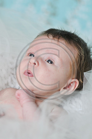 Hailey_Maeger_7wks-120.jpg