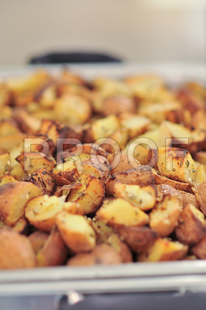 Stephanie-Peter-Wedding-1153