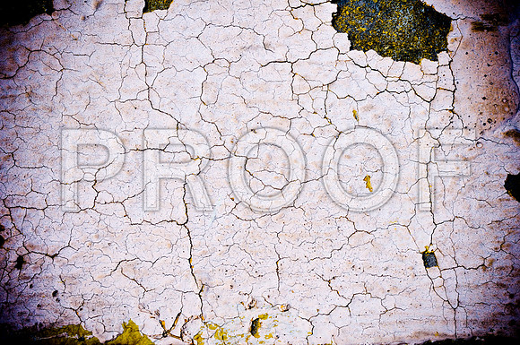 2009SUMMER_TEXTURES_GALVESTON-1033.jpg
