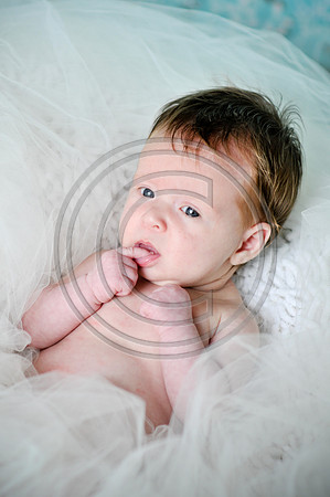 Hailey_Maeger_7wks-123.jpg