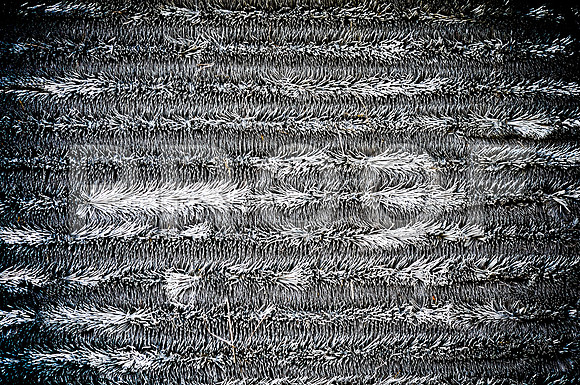 2009SUMMER_TEXTURES_GALVESTON-1067.jpg