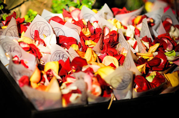 Marcie_Ed_Wedding-1733.jpg